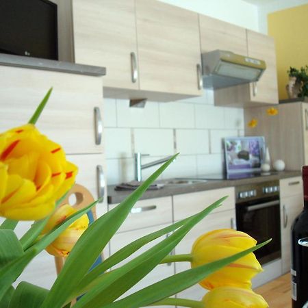 Ferienwohnungen Heideidylle Amelinghausen Pokoj fotografie