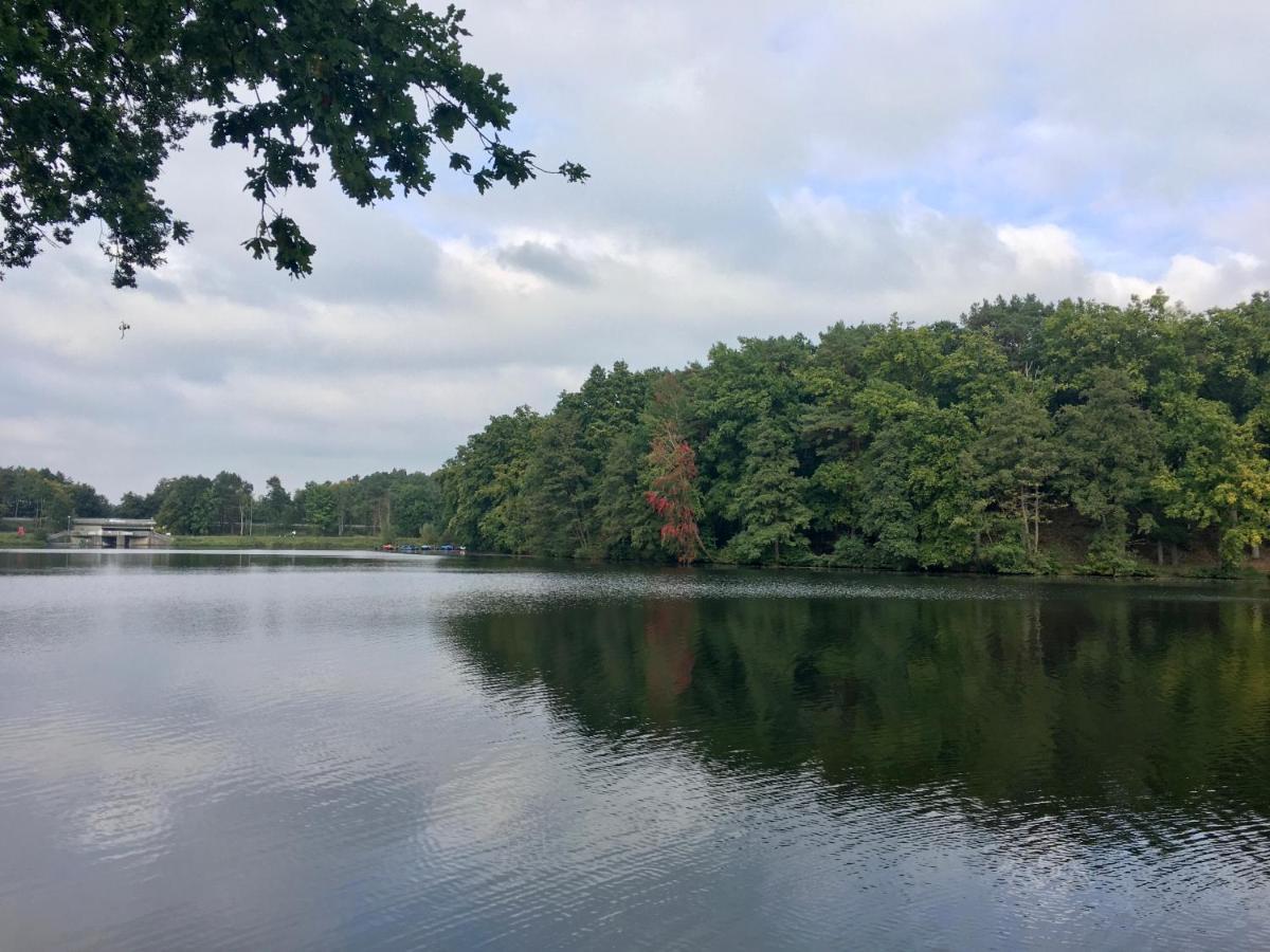 Ferienwohnungen Heideidylle Amelinghausen Exteriér fotografie